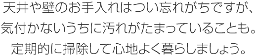 天井や壁のお手入れはつい忘れがちですが、気付かないうちに汚れがたまっていることも。定期的に掃除して心地よく暮らしましょう。