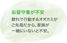 お留守番が不安　群れで行動するオオカミがご先祖だから、家族が一緒にいないと不安。