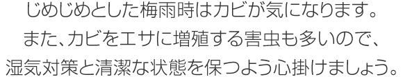 じめじめとした梅雨時はカビが気になります。また、カビをエサに増殖する害虫も多いので、湿気対策と清潔な状態を保つよう心掛けましょう。