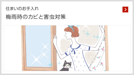 住まいのお手入れ 梅雨時のカビと害虫対策