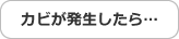 カビが発生したら…